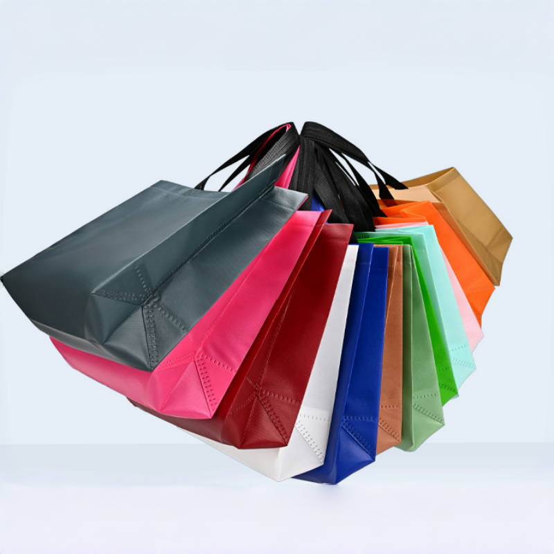 Vrouwen Opvouwbare Boodschappe - Women Bags For Eid recensie en prijs